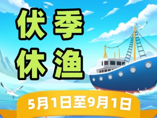 2025年威海伏季休漁政策發(fā)布！